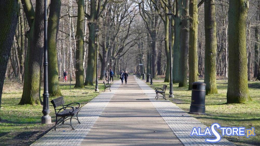 park zdrojowy w świnoujściu- alejki